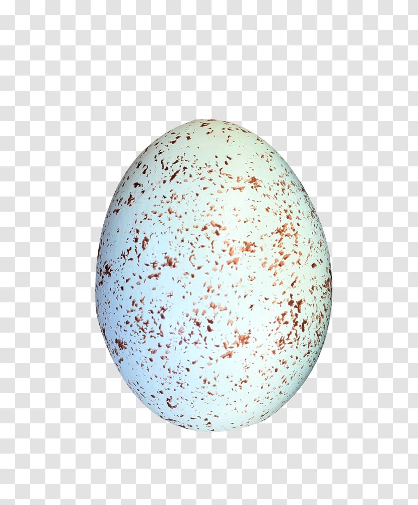 Bird Eggs Download - Sphere - Spotted Transparent PNG