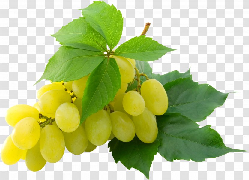 Grape High-definition Television 1080p Video Wallpaper - Vitis - Image Transparent PNG