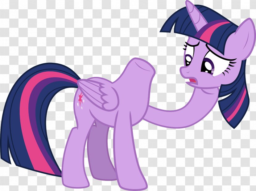 Pony Twilight Sparkle Rarity Pinkie Pie Winged Unicorn - Silhouette - Friendship Indiana October 2014 Transparent PNG