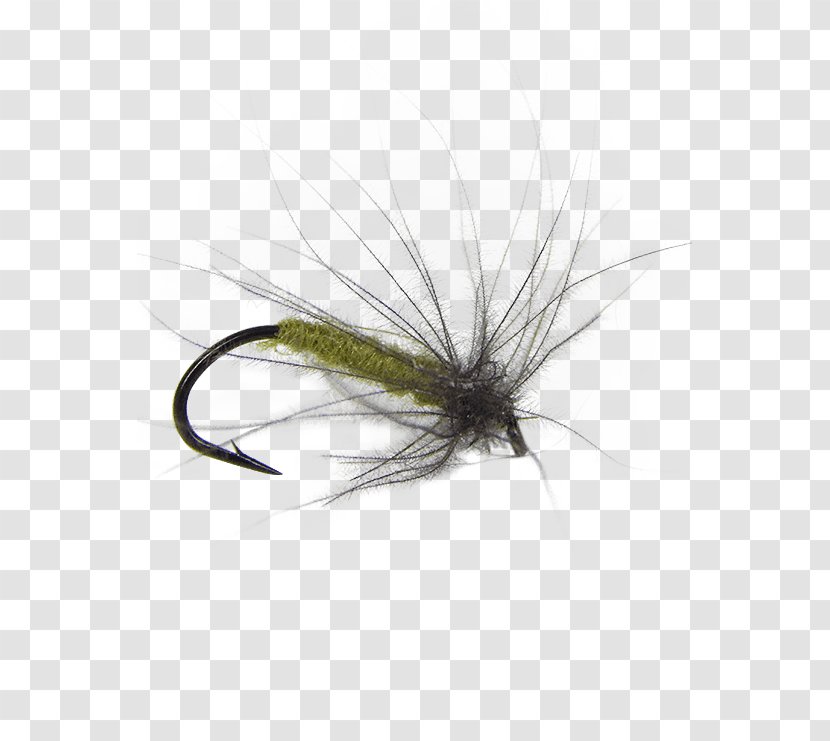 Artificial Fly Insect Fishing Tying - Puff Daddy Transparent PNG