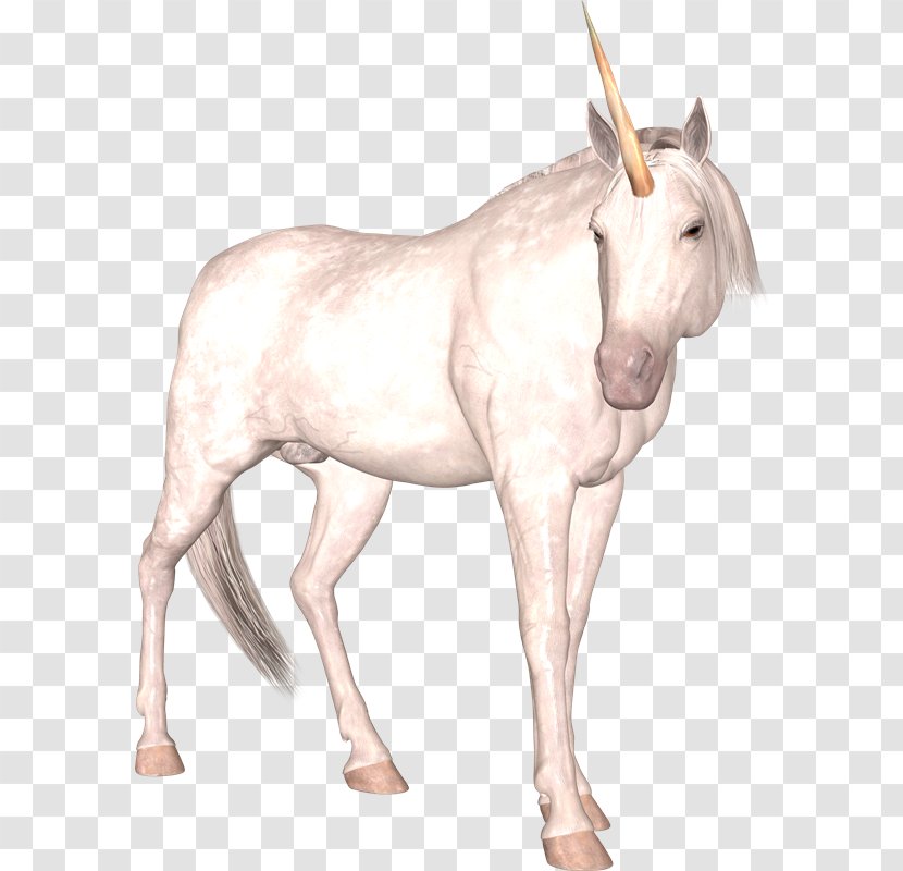 Mule Unicorn Pony Mane Donkey - Fictional Character Transparent PNG