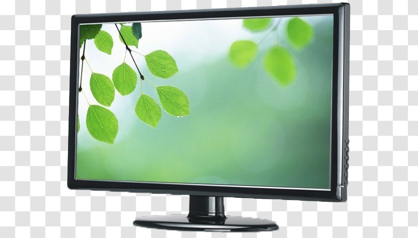 Green Leaf Color Mobile Phone Wallpaper - Fototapet - LCD TV Products In Kind Transparent PNG
