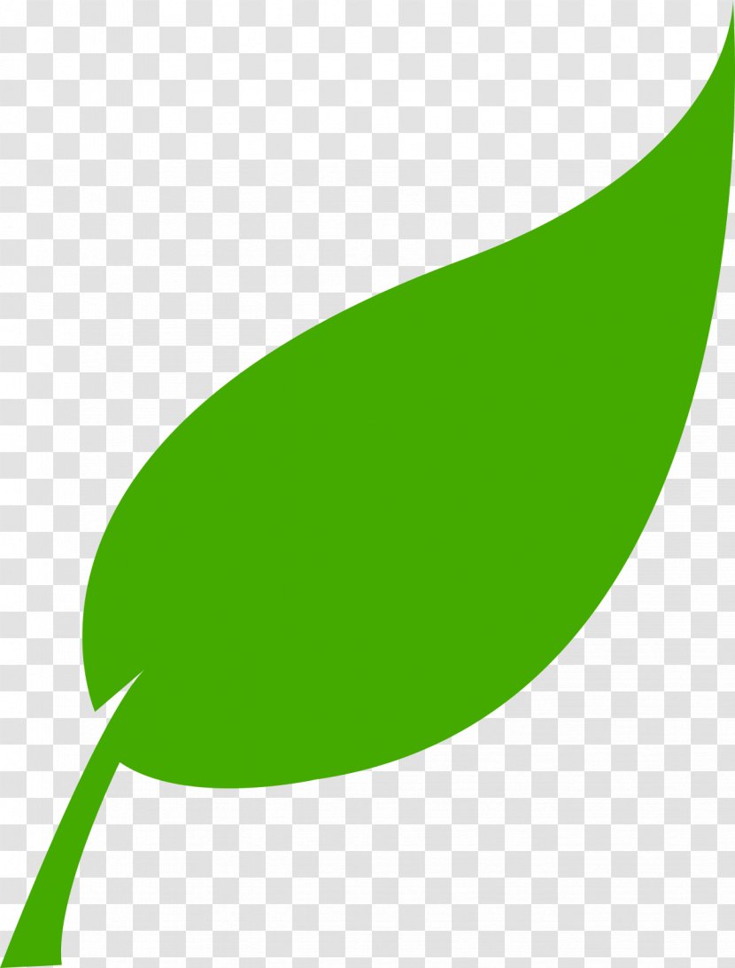 Renewable Energy Solar Leaf Resource - Plant - Cranberry Lingonberry Transparent PNG