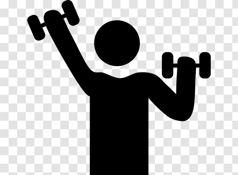 Exercise Physical Fitness Clip Art Centre Cartoon - Weight Training Transparent PNG