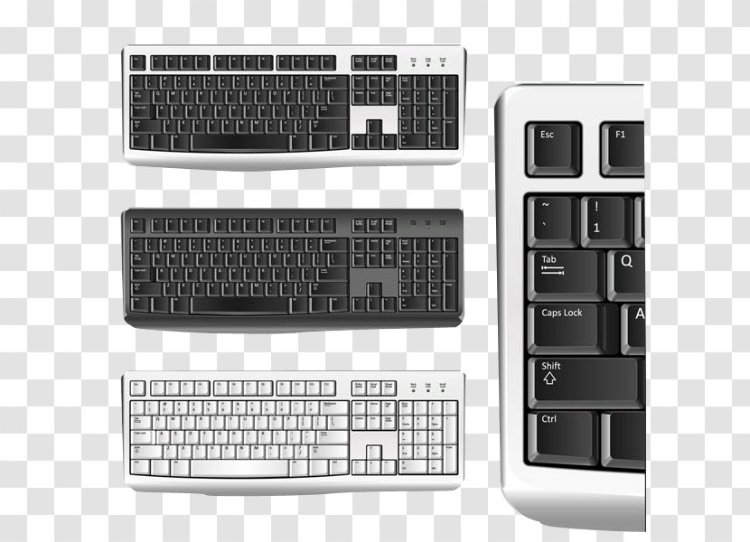 Computer Mouse Graphics Icon - Brand - Keyboard Transparent PNG