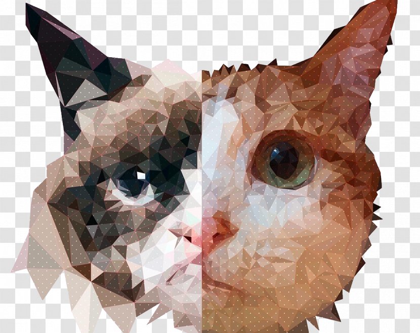 Whiskers Cat Edge Kitten Geometry - Symmetry - Geometric Transparent PNG