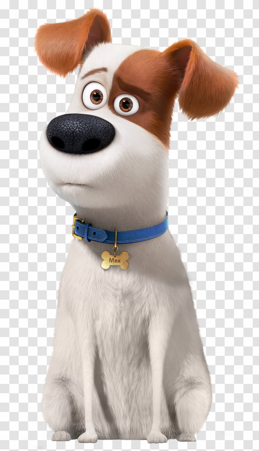 Max Dog Universal Pictures Pet Illumination Entertainment - Like Mammal - Pets Transparent PNG