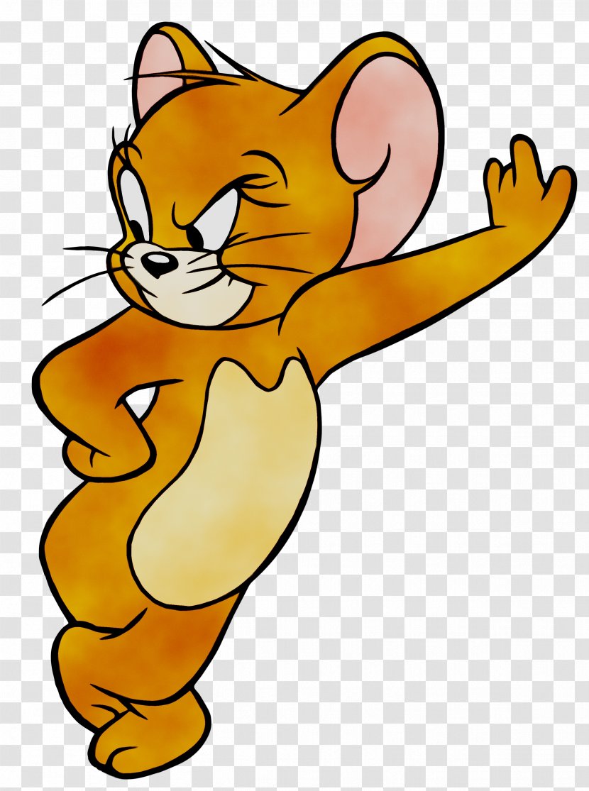 Tom Cat Jerry Mouse Nibbles And Desktop Wallpaper - Cartoon Transparent PNG