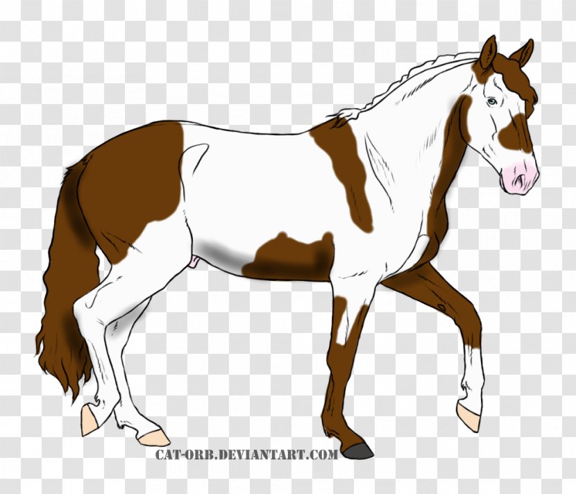 Mule Foal Stallion Mare Colt - Mustang Transparent PNG