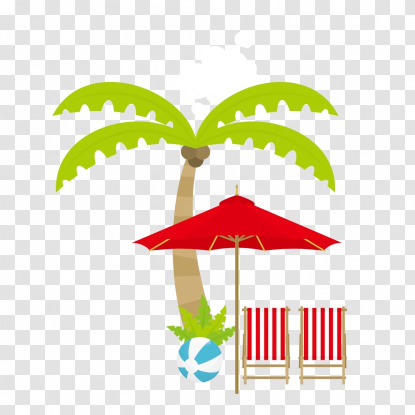 Tree Umbrella Coconut - Tarn - Trees And Transparent PNG
