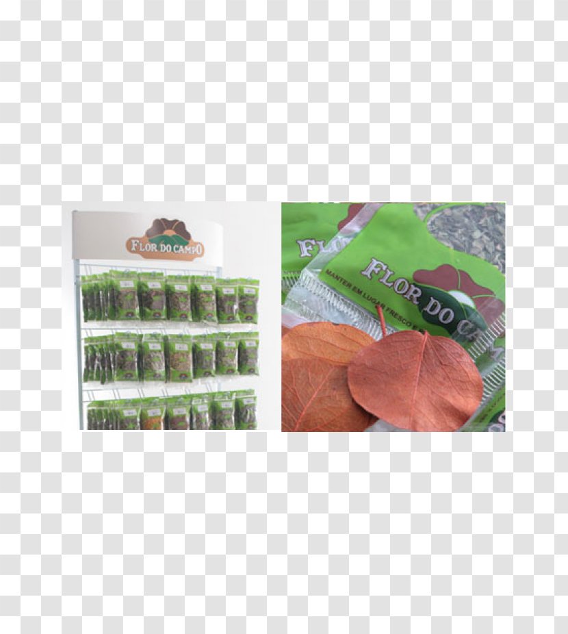Vegetarian Cuisine Hibiscus Tea Matcha Green Transparent PNG