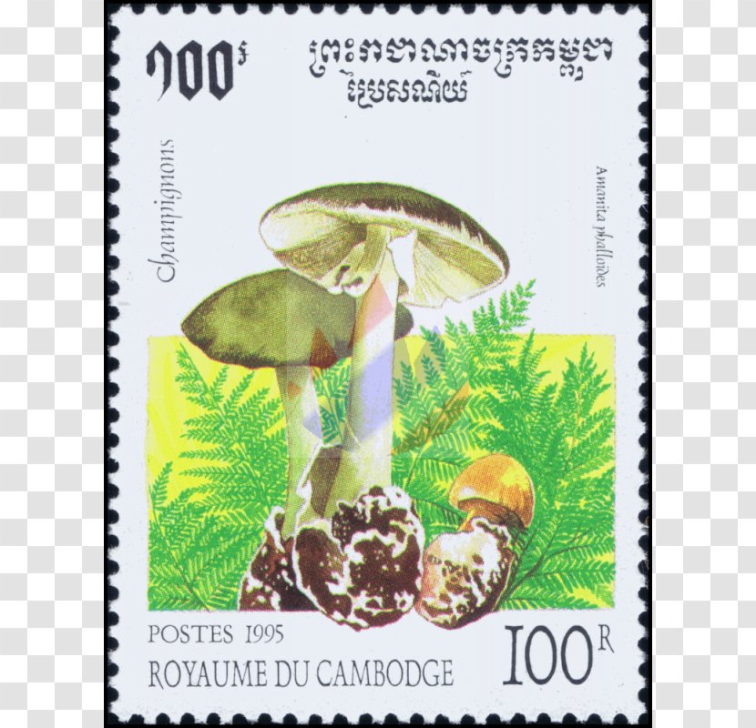 Flora Fauna Postage Stamps Plants Mushroom - Cantharellus Cibarius Transparent PNG