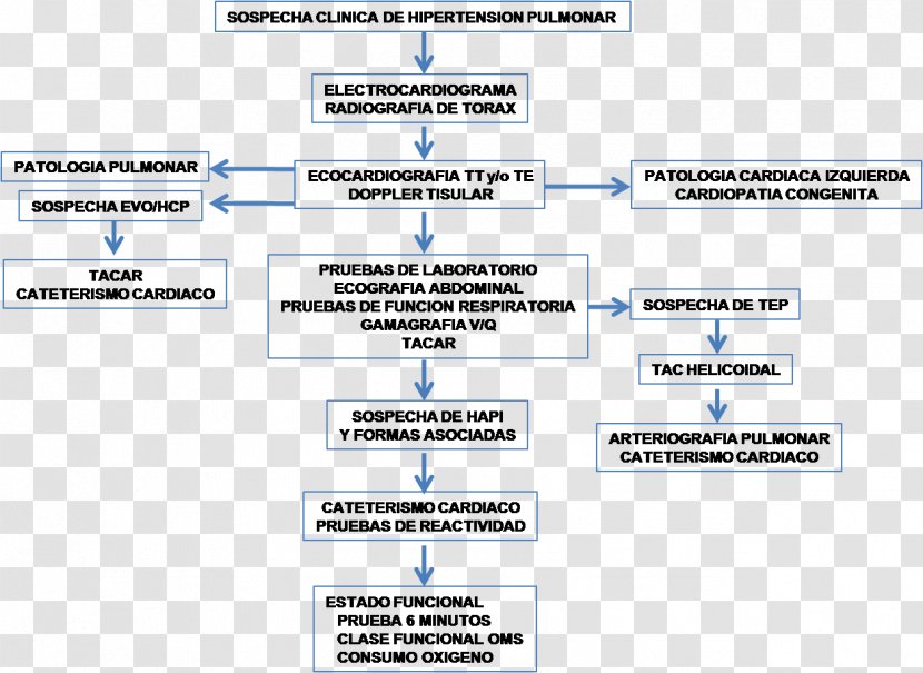 Organization Document Line - Text Transparent PNG