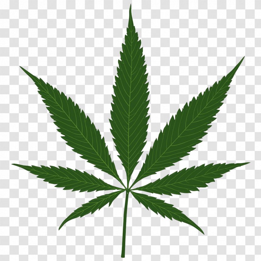 Cannabis Sativa Leaf - Tree - Leaves Illustrations Transparent PNG