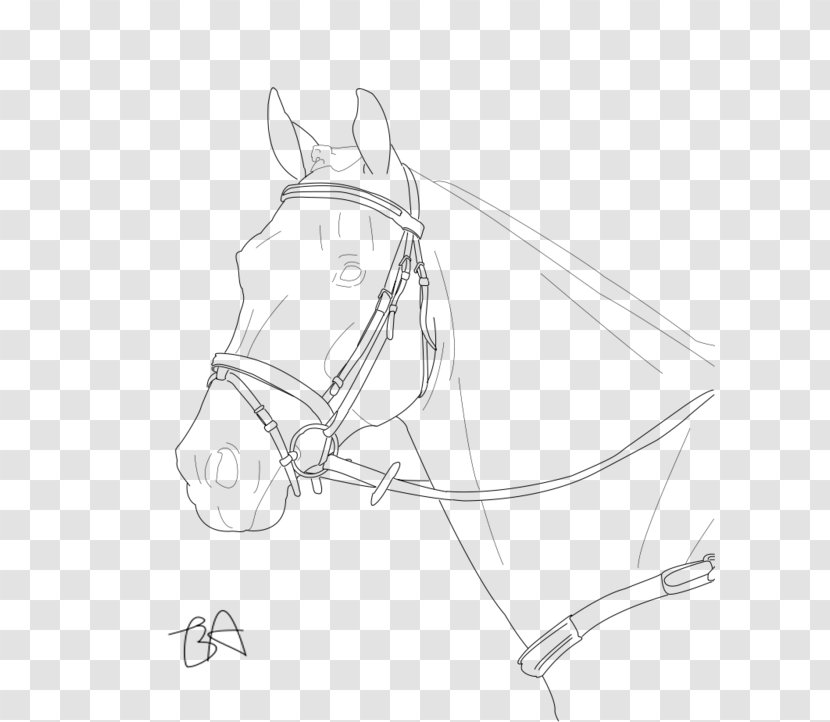 Bridle Horse Line Art Mane Drawing - Stable - Cai Broken Transparent PNG