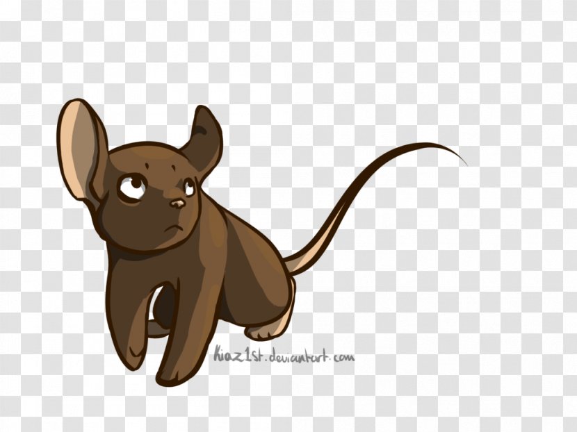 Cat Mouse Rat Canidae Dog - Like Mammal Transparent PNG