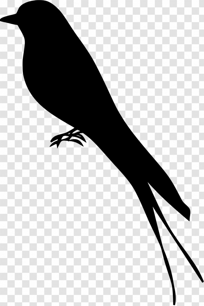 Mockingbird Silhouette - Wing New Caledonian Crow Transparent PNG