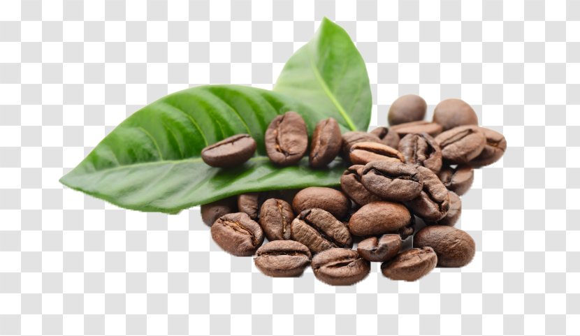 Jamaican Blue Mountain Coffee Cafe Single-origin Instant - Coffea Transparent PNG