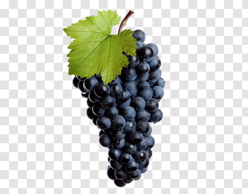 Common Grape Vine Wine Juice Seed Extract - Flowering Plant Transparent PNG