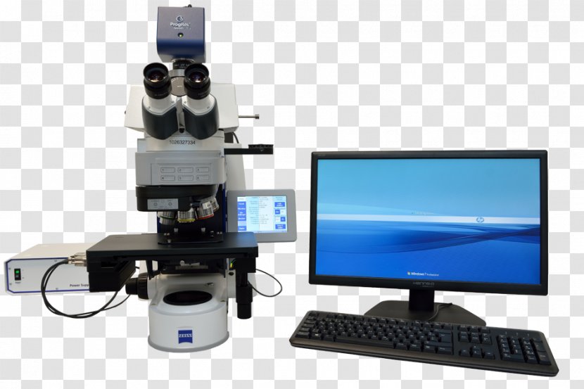 Microscope Hewlett-Packard Computer Monitor Accessory Monitors Multimedia - Tree - Light Transparent PNG