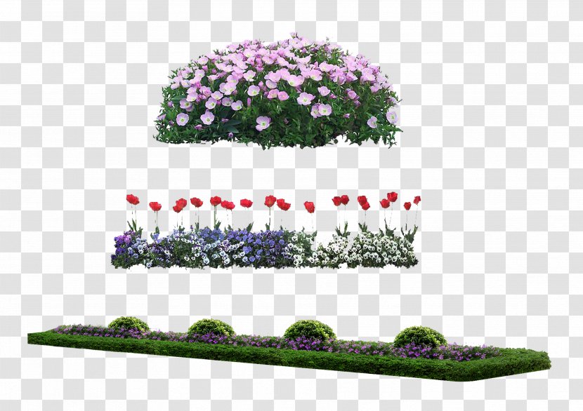 Flower - Violet - Bed Transparent PNG