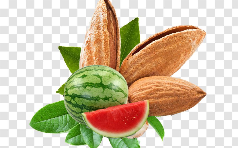 Almond Nut Food Apricot Kernel - Pistachios And Watermelon Transparent PNG