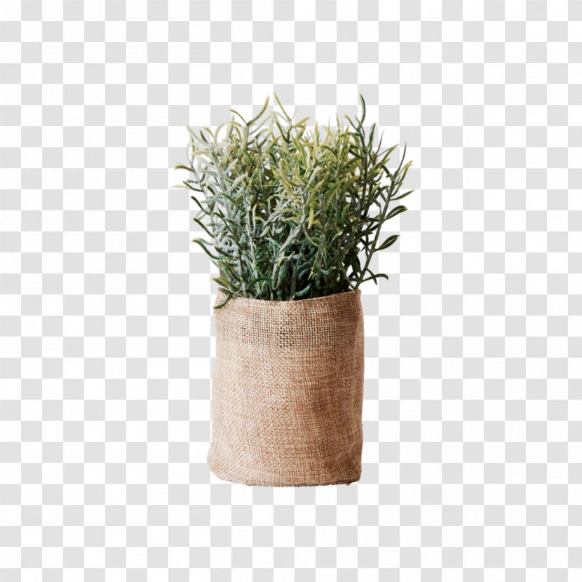 Flowerpot Vase Herb Ceramic Plant - Description Transparent PNG