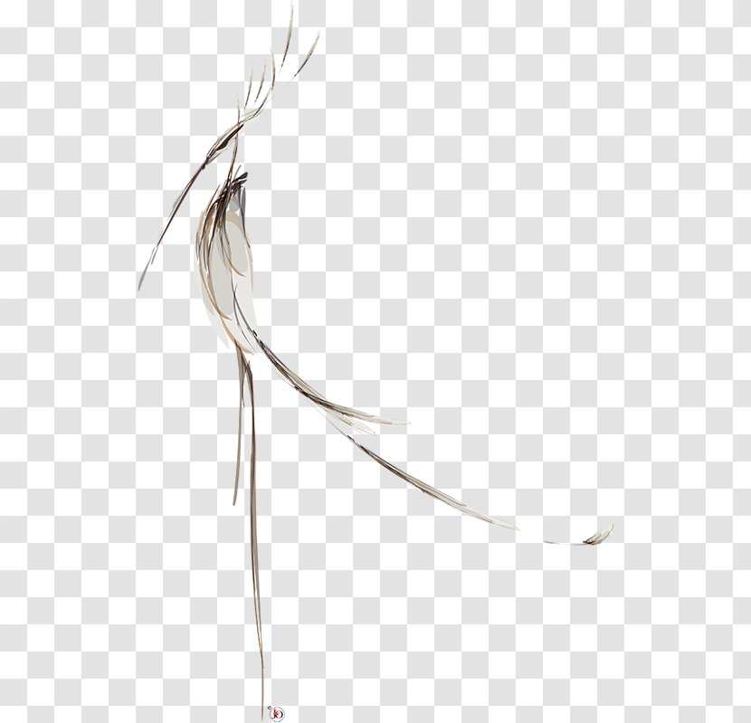 Feather Line Beak - Neck Transparent PNG