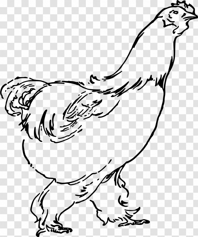 Chicken Soup Rooster Fried Clip Art - Bird - Hen Transparent PNG