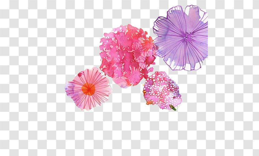 Watercolor: Flowers Painting Drawing Illustration - Magenta - Watercolor Floral Decoration Pictures Transparent PNG