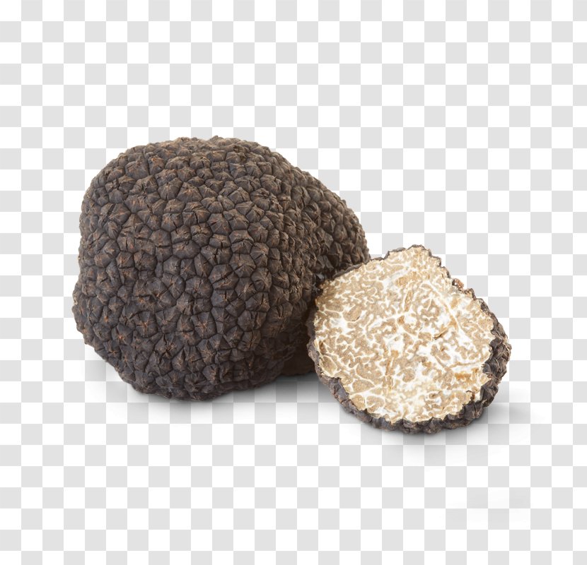 Tuber Aestivum Périgord Black Truffle Piedmont White Oil Transparent PNG