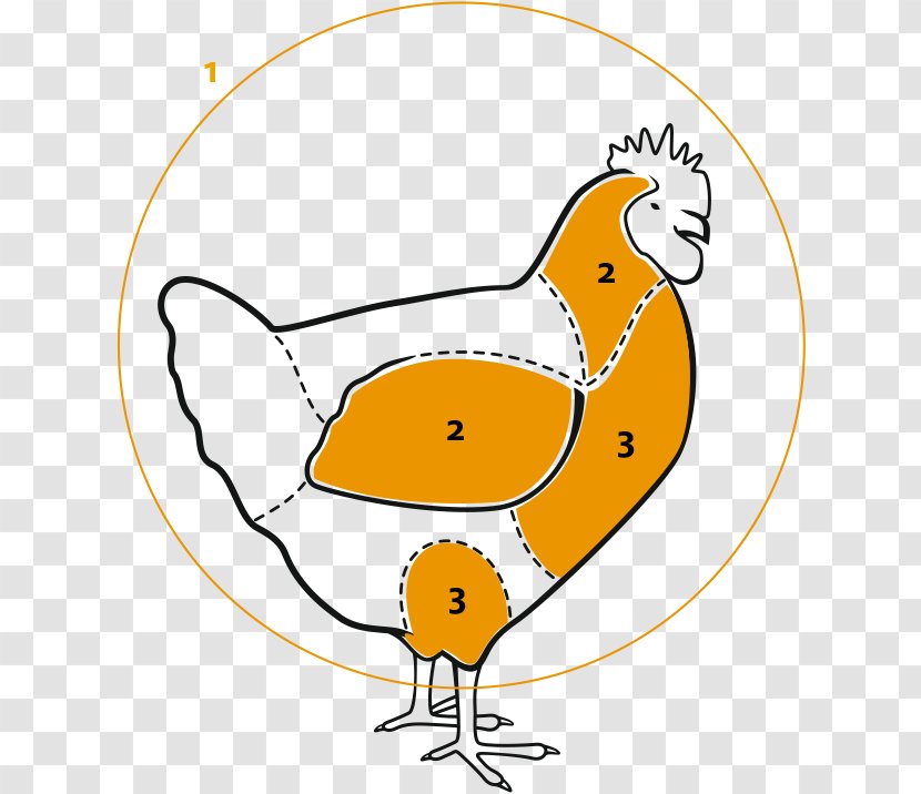 Chicken Clip Art Fauna Cartoon Transparent PNG
