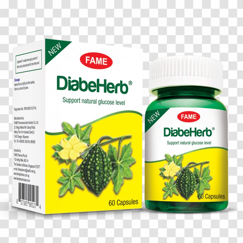 Dietary Supplement Cheese Fruit Food Herb - Durian - Momordica Charantia Transparent PNG