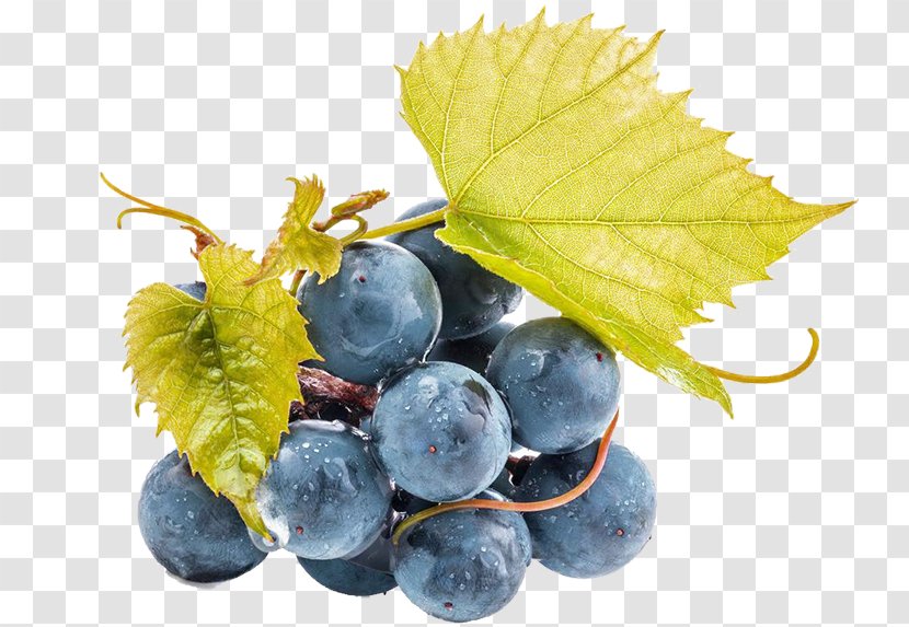 Juice Wine Grape Seed Extract - A Bunch Of Grapes Transparent PNG