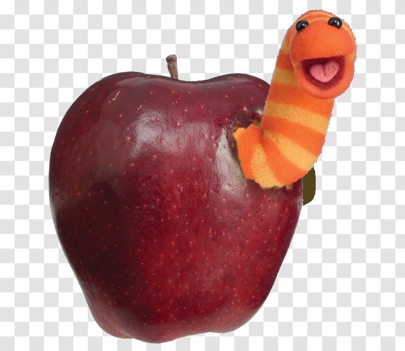 Oscar The Grouch Mr. Snuffleupagus Enrique Telly Monster Slimey Worm - Jim Henson - Apple With Transparent PNG