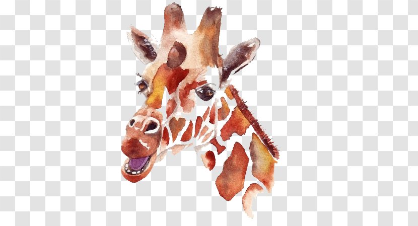 Northern Giraffe Watercolor Painting Drawing Illustration - Mammal - Hand-painted Transparent PNG
