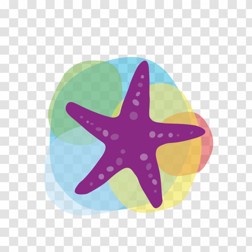 Tourism Euclidean Vector Icon - Invertebrate - Starfish Transparent PNG