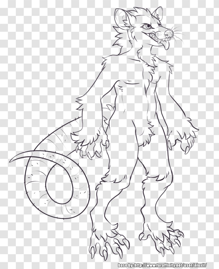 Drawing Line Art Opossum Sketch - Standing - White Transparent PNG