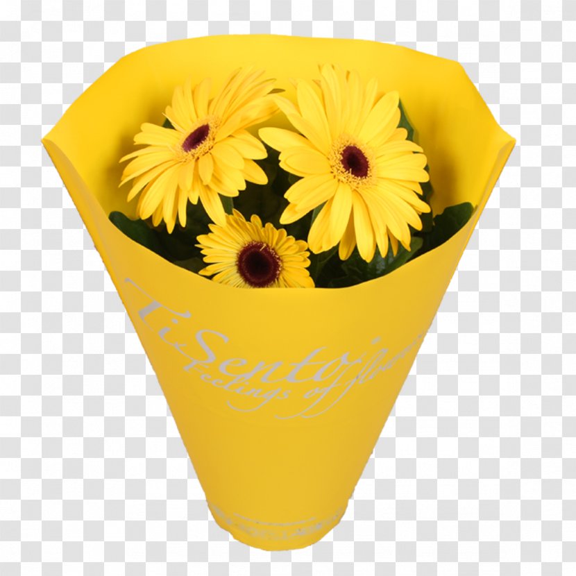 Flowerpot Transvaal Daisy Cut Flowers Chrysanthemum - Sunflower - Flower Transparent PNG