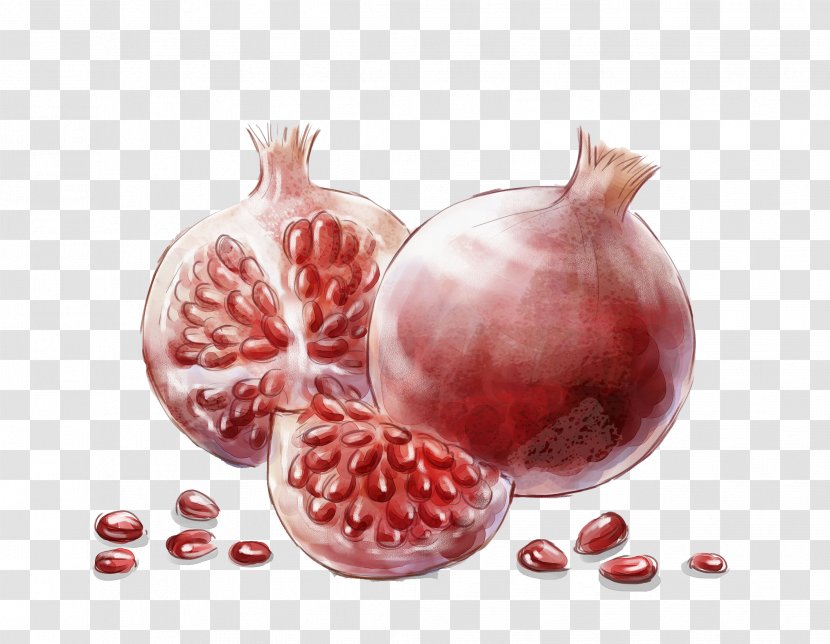 Pomegranate Watercolor Painting Auglis Transparent PNG
