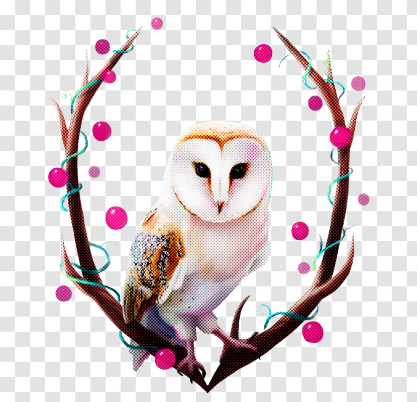 Owl Bird Branch Barn Owl Heart Transparent PNG