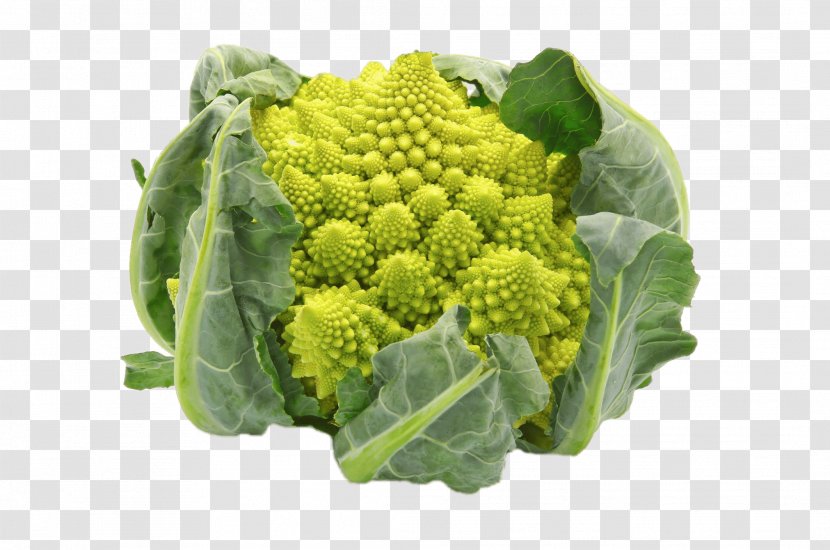 Romanesco Broccoli Cauliflower Broccoflower Cabbage - Leaf Vegetable Transparent PNG