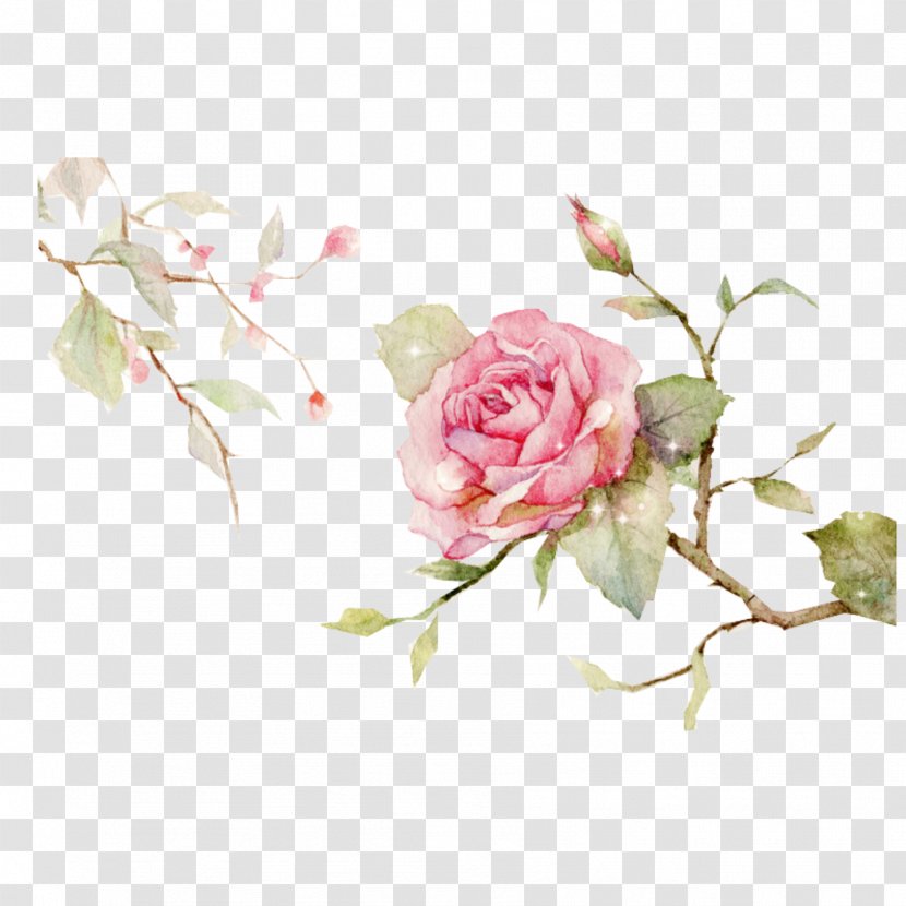 Rose Flower Painting Image Floral Design - Pink Background Psd Ai Transparent PNG
