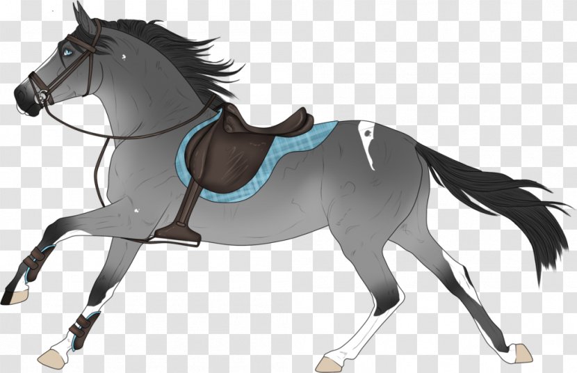 Mane Pony Stallion Mustang Rein - Vertebrate Transparent PNG