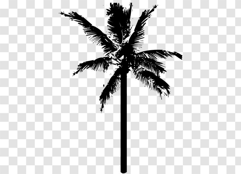 Coconut Arecaceae Clip Art - Plant - Tree Black Transparent PNG