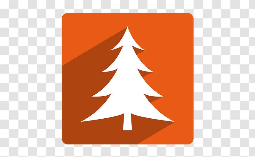 Fir Christmas Tree New Year - Triangle Transparent PNG