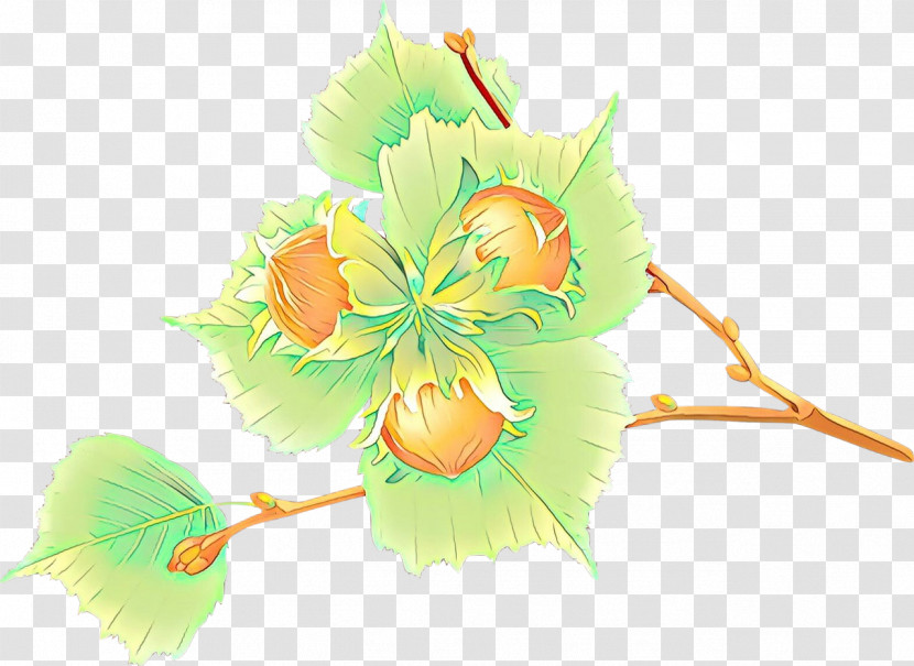 Leaf Plant Flower Transparent PNG