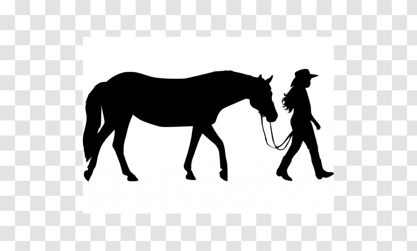 Horse Foal Equestrian Wall Decal Silhouette Transparent PNG