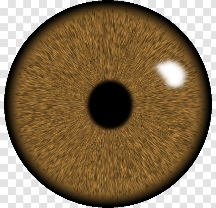 Eye Lens GIMP Iris - Cartoon Transparent PNG