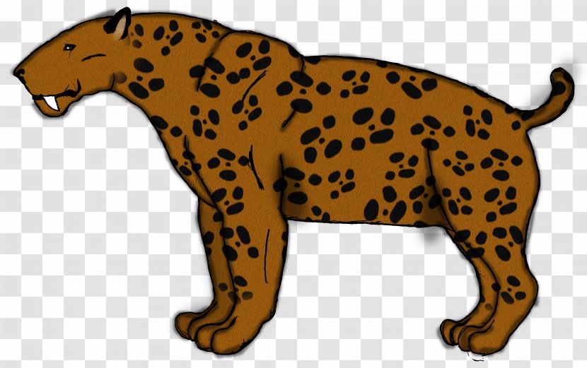 Leopard Cheetah Jaguar Felidae Xenosmilus - Canidae - Sabertoothed Tiger Transparent PNG
